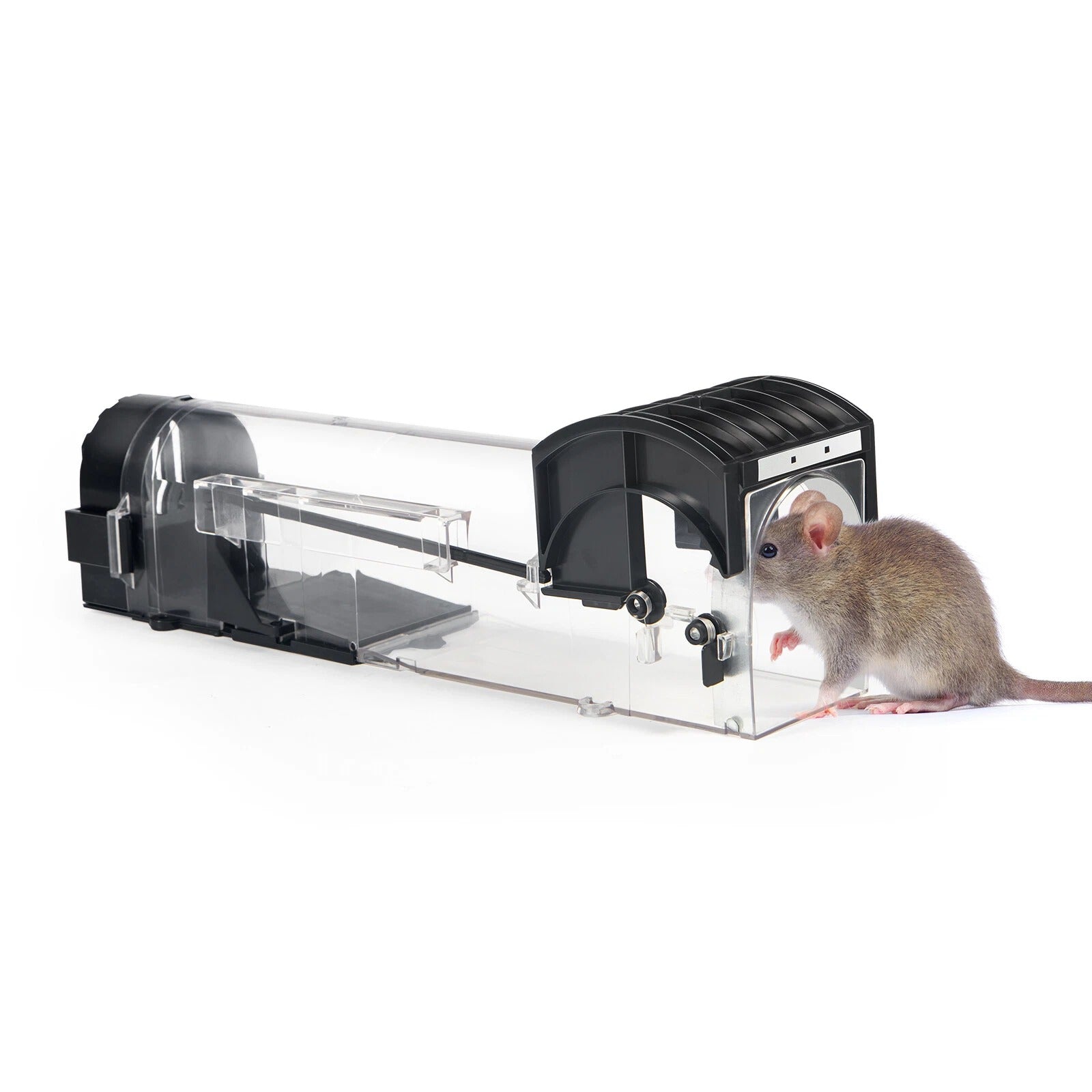 Smart Mouse Trap | Transparent, Safe & Reusable